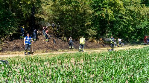 Vegetationsbrand in Hausach